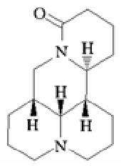苦参碱注射液 苦参碱注射液