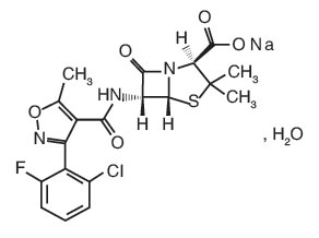 注射用氟氯西林钠 注射用氟氯西林钠