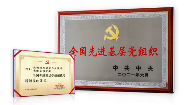 yl23455永利集团党委荣获“全国先进基层党组织”