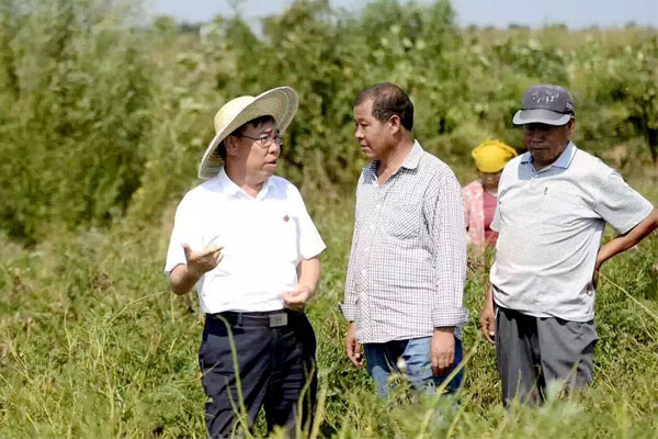 中医药,yl23455永利集团,李安平 中医药,yl23455永利集团,李安平