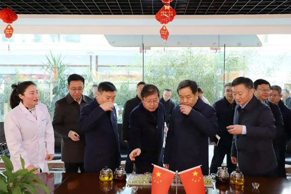 陈市长一行品尝yl23455永利集团五和药茶