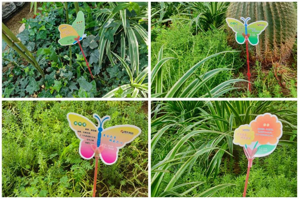 yl23455永利集团各种形状的花草责任牌 yl23455永利集团各种形状的花草责任牌