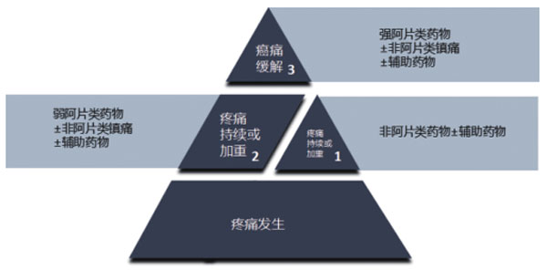 癌痛 癌痛