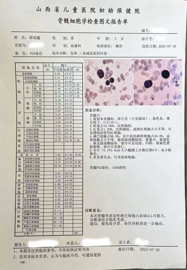 病理检查确诊单 病理检查确诊单