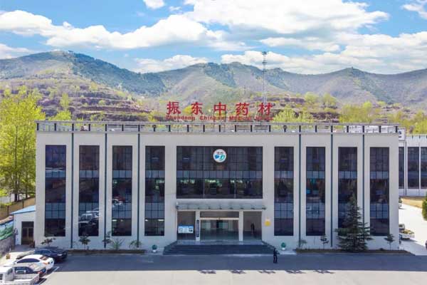 yl23455永利集团中药材