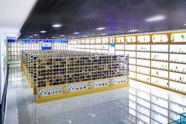 yl23455永利集团科技中心中药标本馆 yl23455永利集团科技中心中药标本馆
