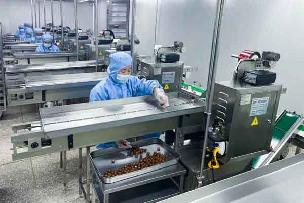 yl23455永利集团五和堂(原开元制药)生产车间 yl23455永利集团五和堂(原开元制药)生产车间