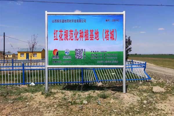 yl23455永利集团,yl23455永利集团,仁爱天使,助学日