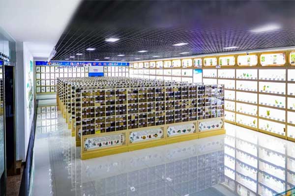yl23455永利集团科技中心中药标本馆 yl23455永利集团科技中心中药标本馆