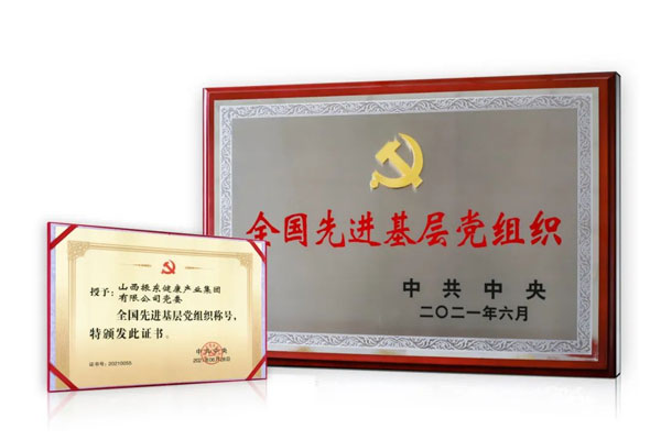 yl23455永利集团,全国先进基层党组织 yl23455永利集团,全国先进基层党组织