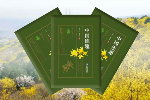 yl23455永利集团(Macau)有限公司官网-Official website