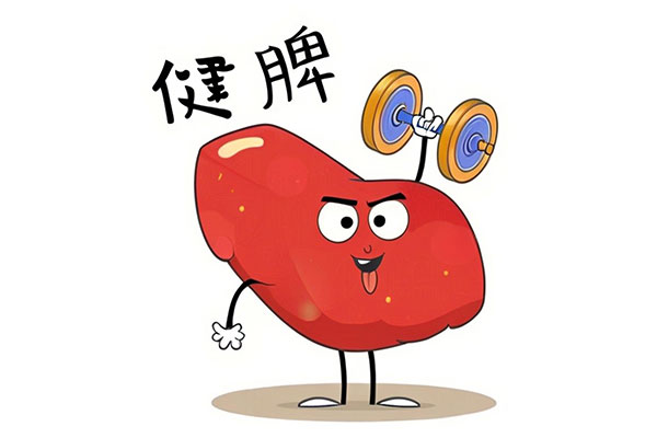 脾虚,健脾