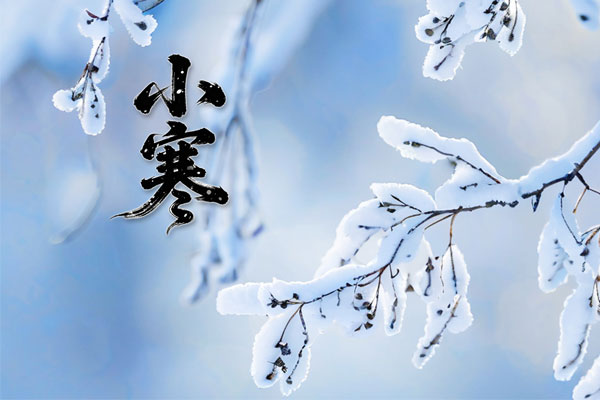 yl23455永利集团(Macau)有限公司官网-Official website