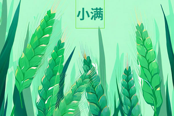 小满,二十四节气,小满物候,小满诗词,小满养生