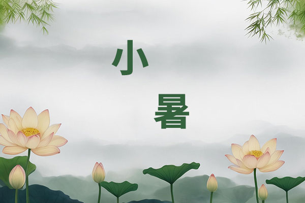小暑养生,三宝,海蜇蔬菜卷,苦夏,清热祛湿